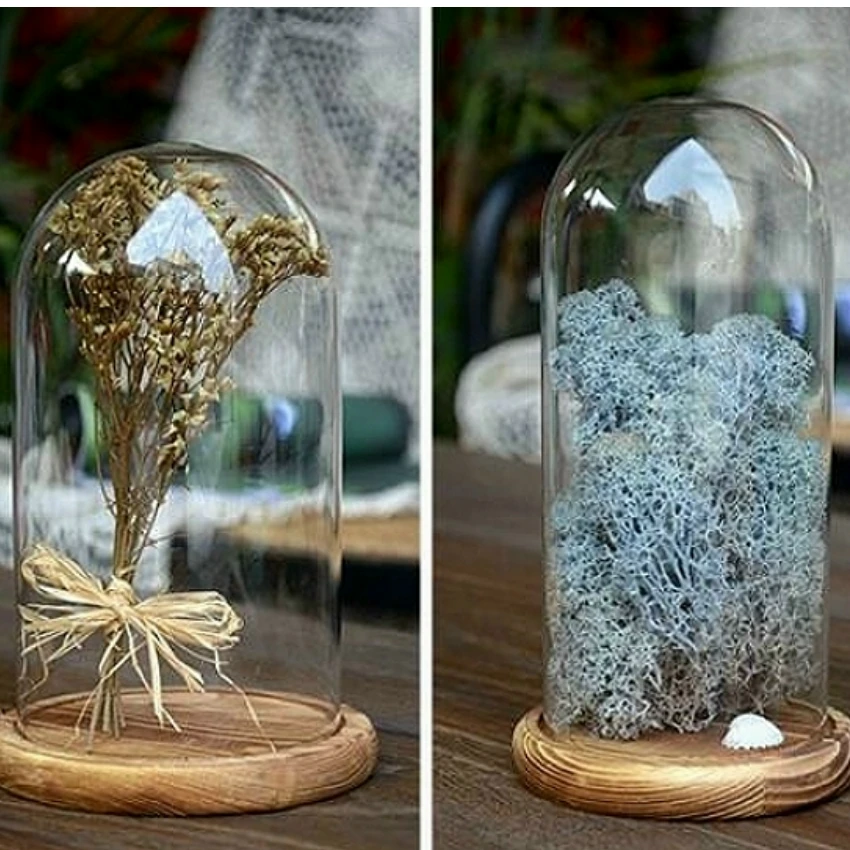 Popular Glass Bell Jars-Buy Cheap Glass Bell Jars lots