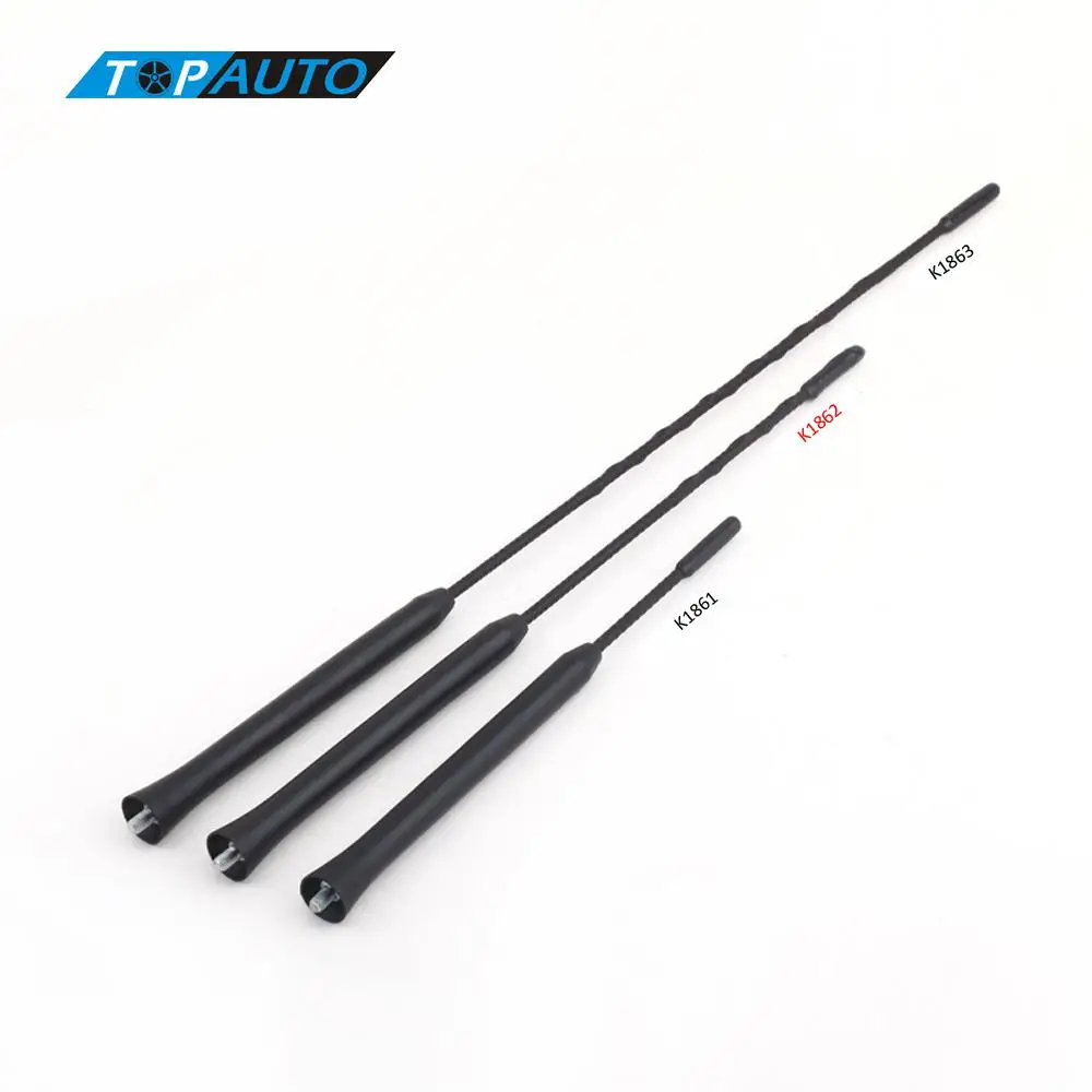

11in Screw-in AM/FM Roof Antenna Whip Mast