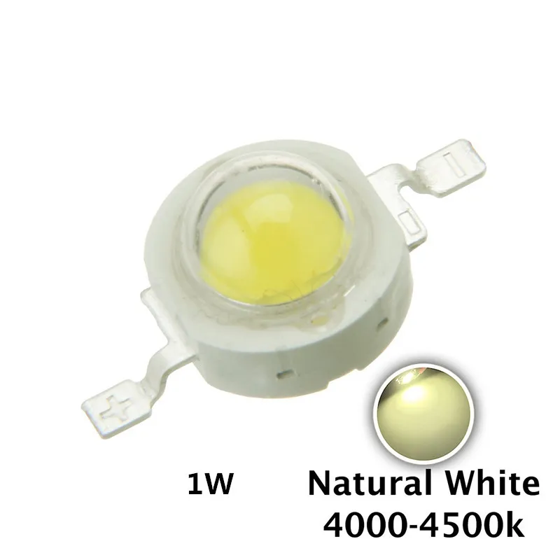 61uUToWeGpL._SL1200__