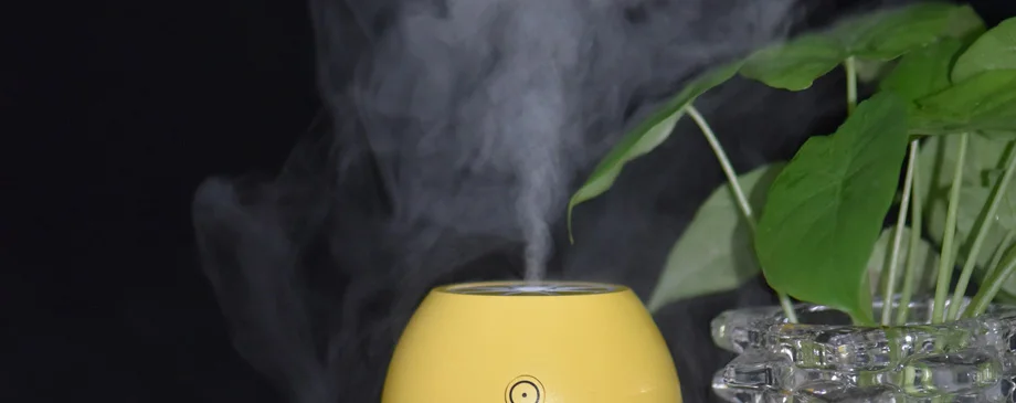 air humidifier ultrasonic (24)