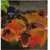 EBOYU RC Cockroach Remote Control Car Vehicle Animal Toys Electronic Realistic Fake Big Insect Bug Glowing Eyes Kids Gift 3