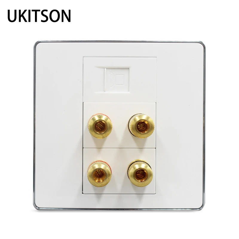 Silver Edge Cat 5e RJ45 + Speaker + Speaker Wall Outlet pic 1