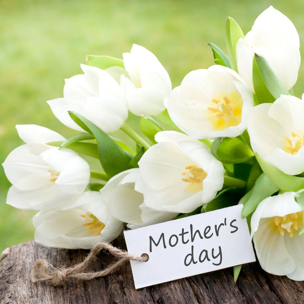 

10X10ft Mother's Day Photography Background Vinyl Digital Photography Backdrops Props JMQ-13
