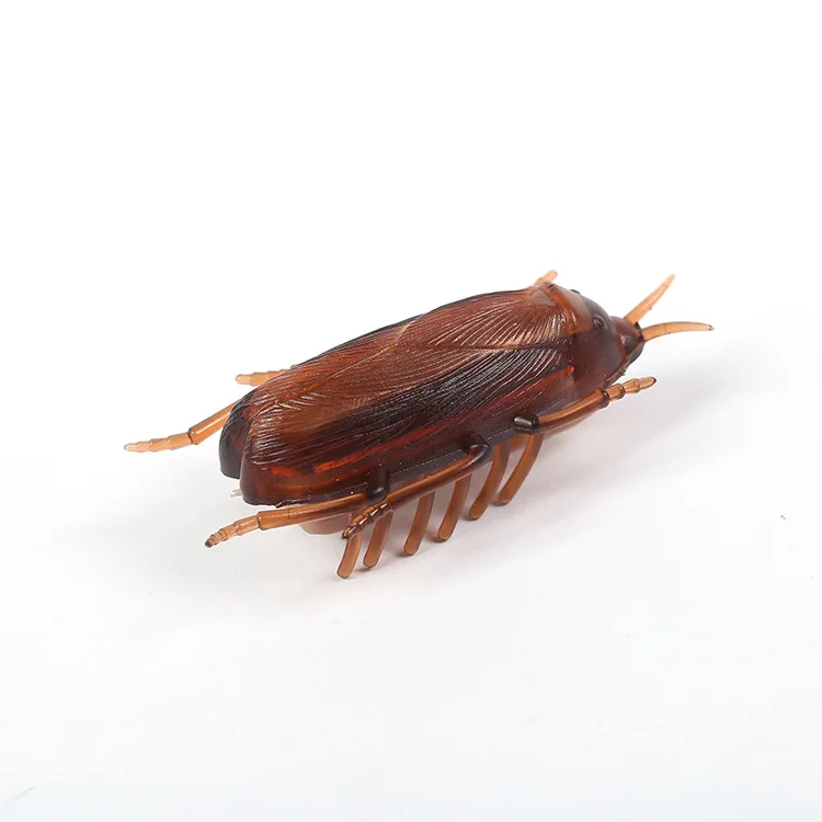 electronic cockroach toy