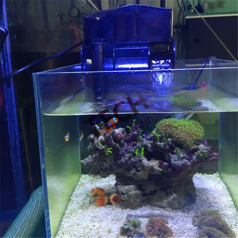 High Quality Dophin Ps2012 Protein Skimmer - Filters