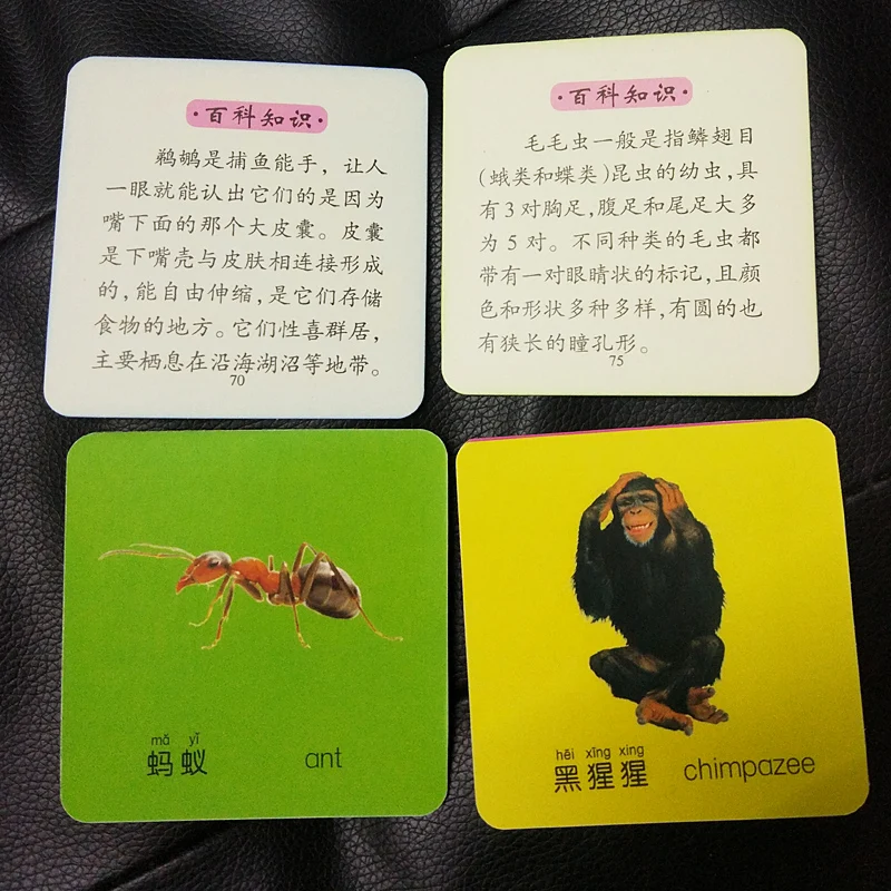 108 Word English & Chinese Pinyin Animal Cards with Picture For Kids Children Preschool education Mini Learning Books (6)
