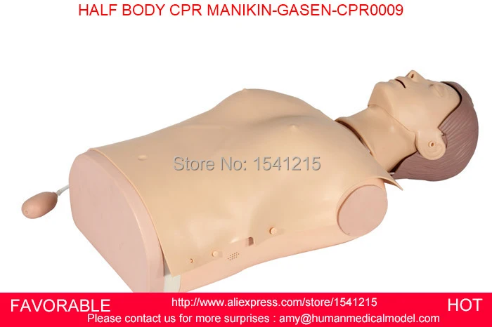 

CPR TRAINING HALF BODY CPR TRAINING MANIKIN MODEL , FIRST AID MANIKIN, MALE CPR MANIKIN,HALF BODY CPR MANIKIN-GASEN-CPRM0009