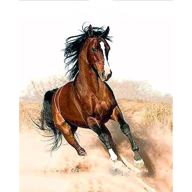 

ArtSailing picture by numbers on canvas diy Running Horse painting by numbers with acrylic paints 2018 new drop shipping NP-353