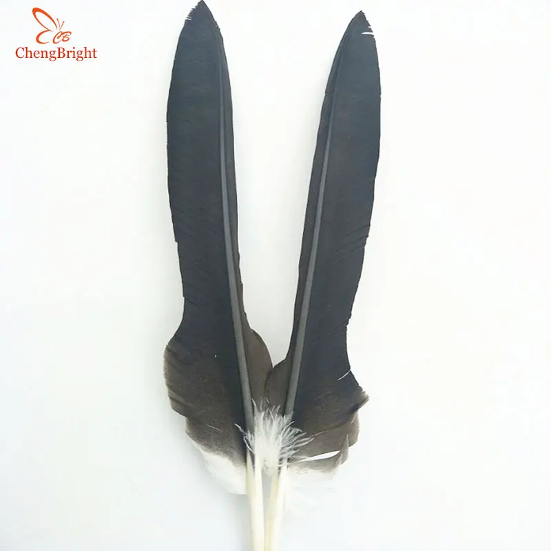 

ChengBright Wholesale 10pcs Natural Long Eagle Feathers 50-60cm/20-24inch Wedding Feather Bilateral Symmetry Crafts Plume DIY