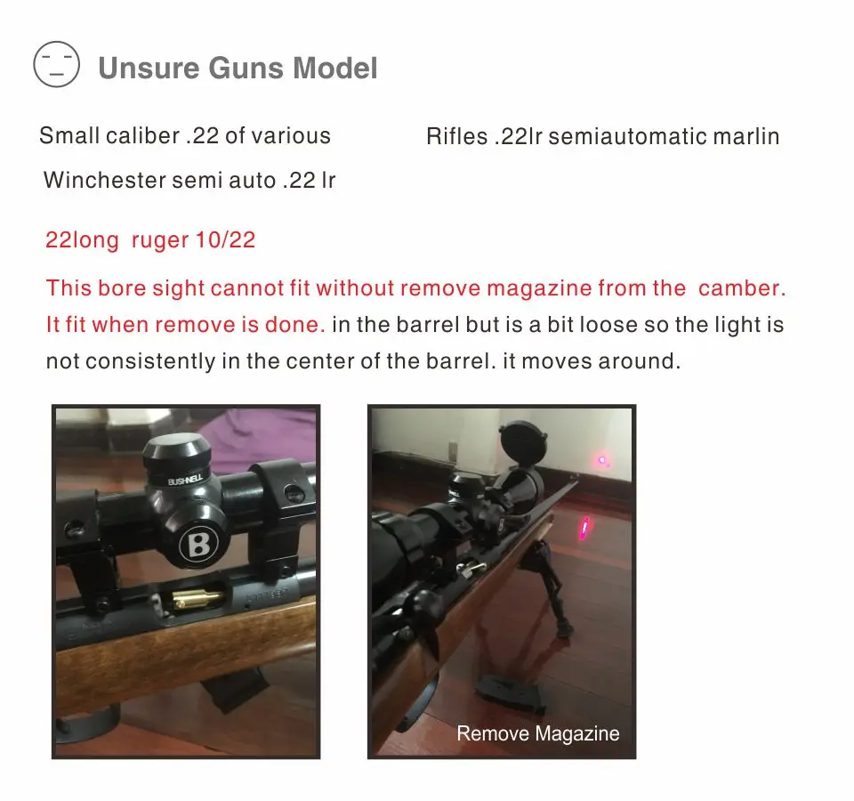Ruger 1022 LB002