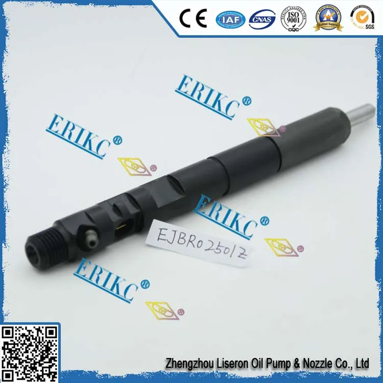 ERIKC EJBR02501Z automotive parts fuel injector EJB
