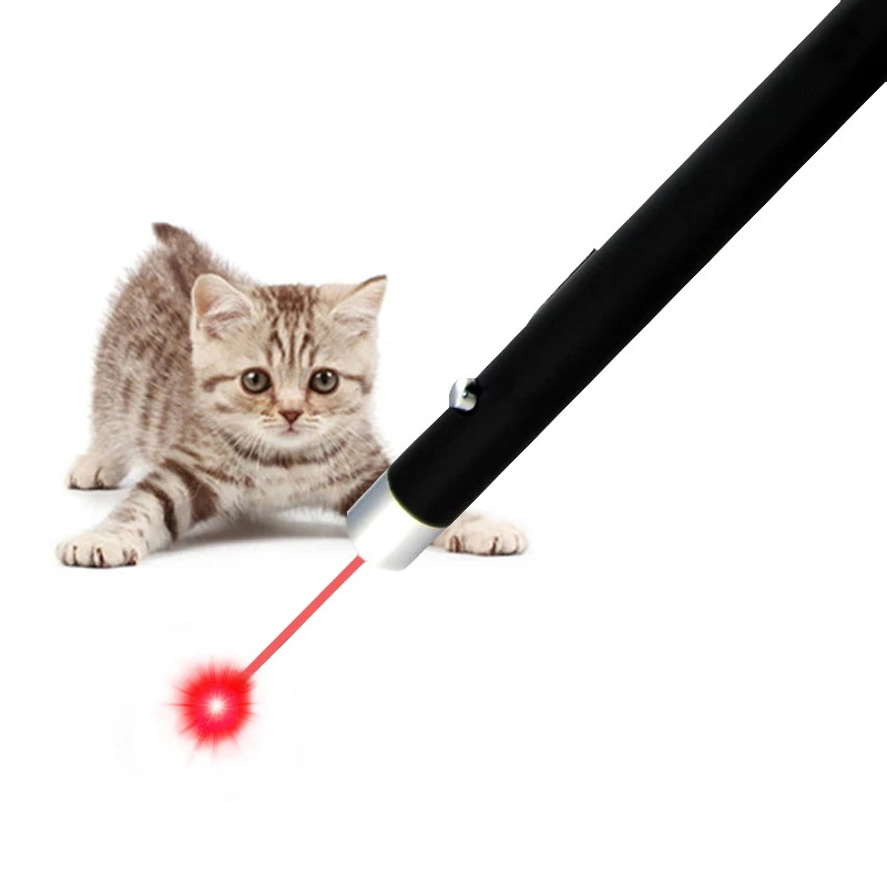 Outdoor 2pcs Playing Red Laser Pointed Pen Cat Toy Pet Interactive