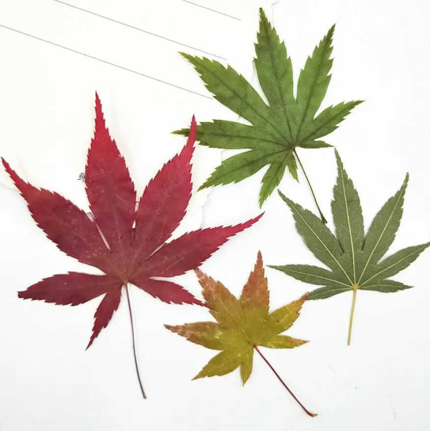 3-