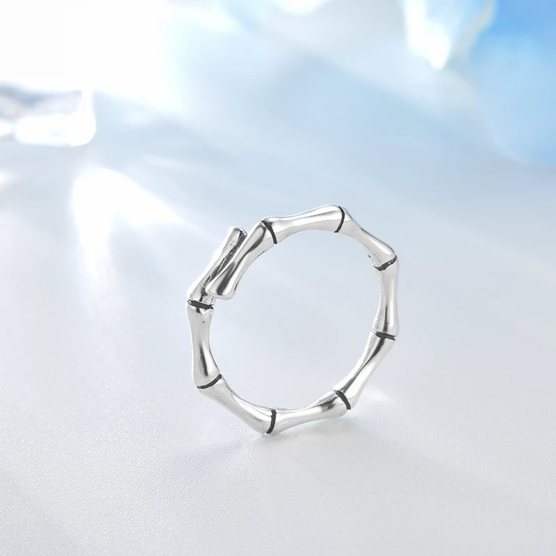 T010081-B (1)