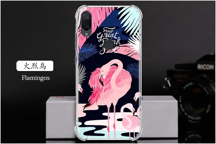  Flamingos
