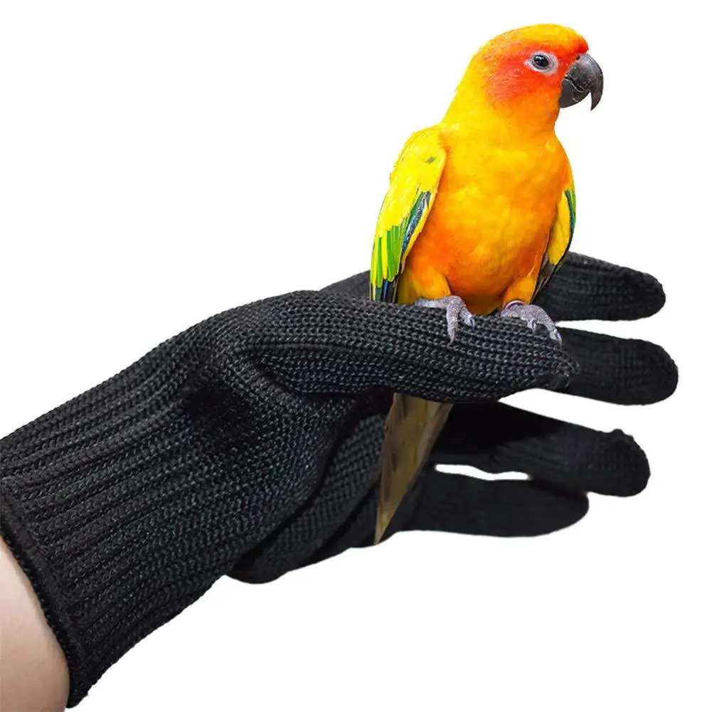 Перчатки против укусов птиц, маленькие перчатки для тренировки с животными и проволокой, защитные перчатки для работы с попугаем хомяком