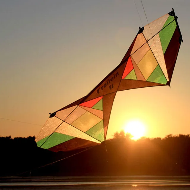 Best price at $177 Cheap Professional Quad Line Sport Kites Stunt Kite 4 Line For Beginner Outdoor Play Kites Show Free Shipping