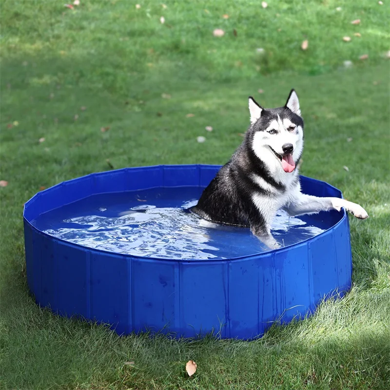 Fast Delivery Pet Dog Pool Collapsible Large Dog Swimming Bath Pool Portable PVC Outdoor Durable Solid Tub Kids Pool for Dog Cat