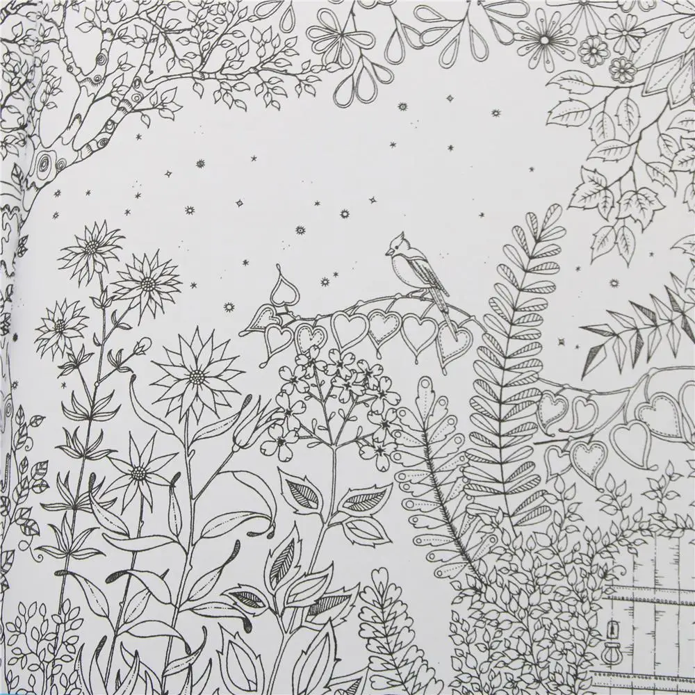 24 Pages Secret Garden English Edition Coloring Book For Children Adult Relieve Stress Kill Time Painting Drawing Book 24 Pages Secret Garden English Edition Coloring Book For Children Adult Relieve Stress Kill Time Painting Drawing Book