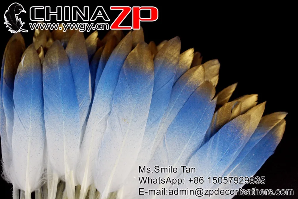 10 Turquoise Blue Hand Painted Duck Feathers (2)