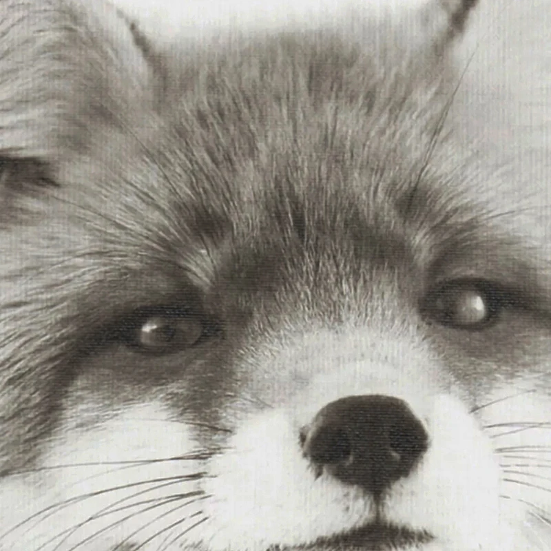 Kate-and-Laurel-Sylvie-Fox-Black-and-White-Portrait-Natural-Framed-Canvas-Wall-Art-by-Simon-Te-Tai-07241ef4-deb0-4ee5-ba42-00e9e8b62531.webp