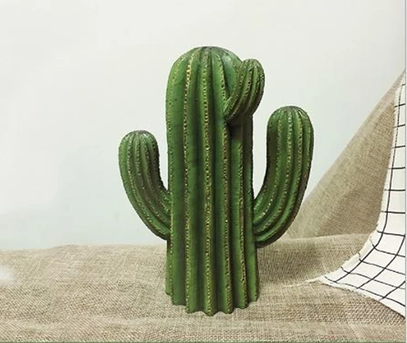 6  (5)