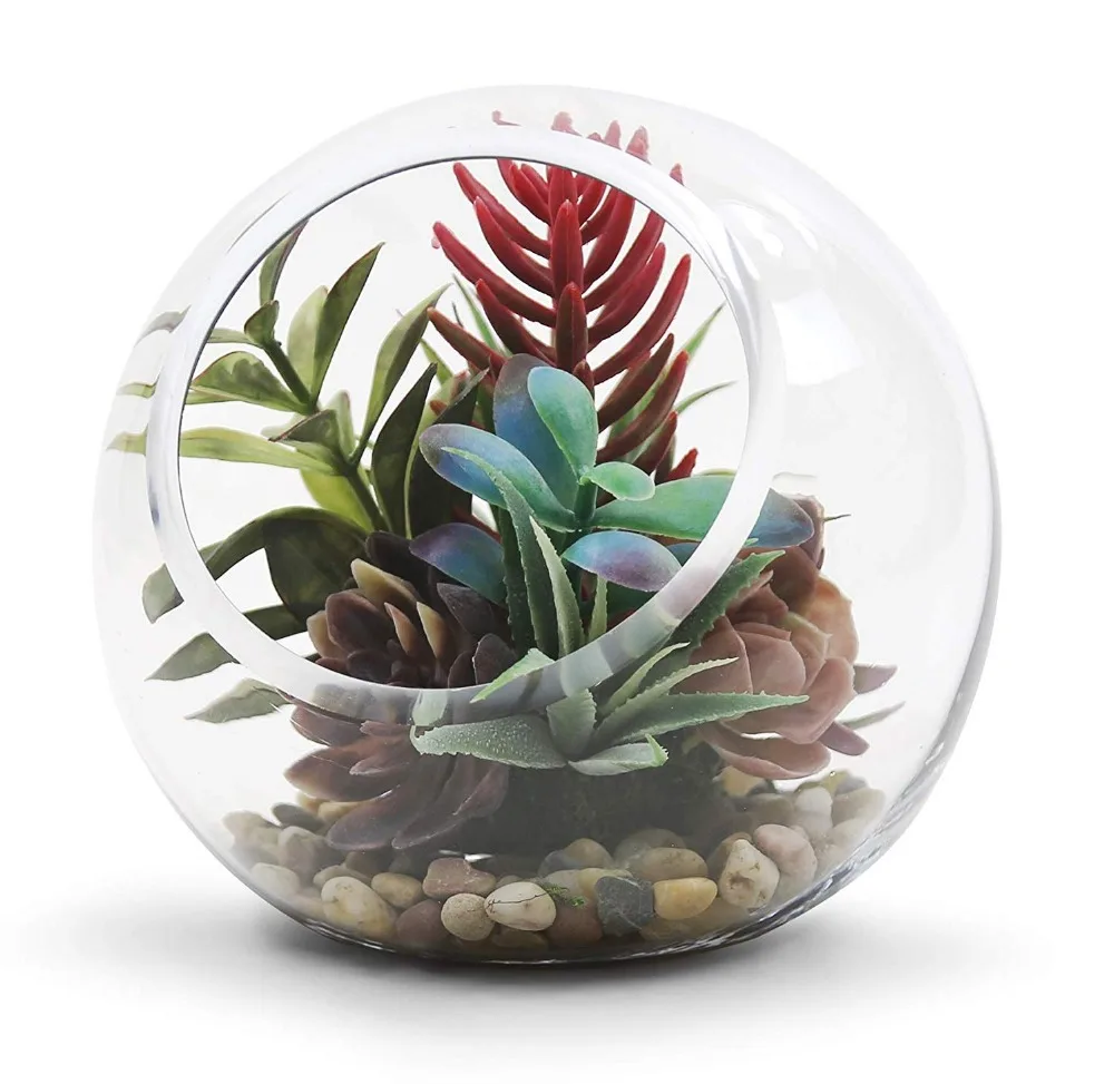 

Plant Terrarium Display Glass Tabletop Succulent Air Plant Planter Globe Microlandschaft House