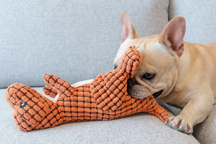 O1CN011okUxOZaORQpg7G_!!58305263