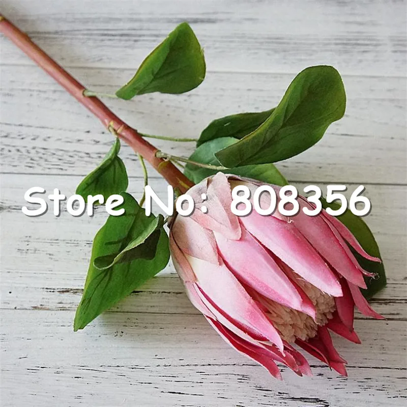 1062