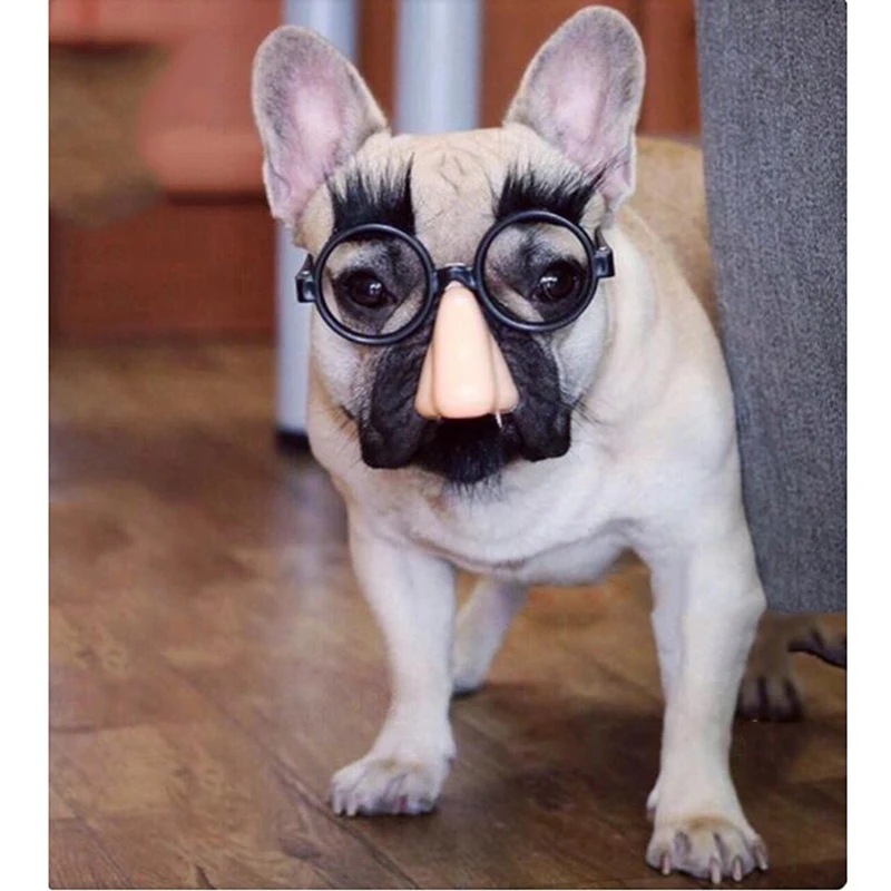 

Cute Funny Dog Pet Glasses Eye-wear Dog Pet Sunglasses Photos Props Accessories Pet Supplies For Pet Products