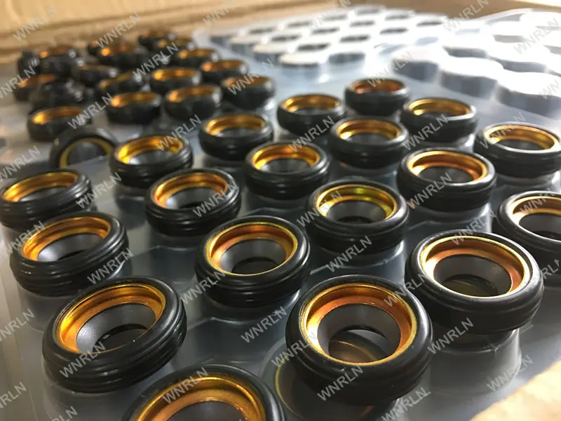 oil seal 002