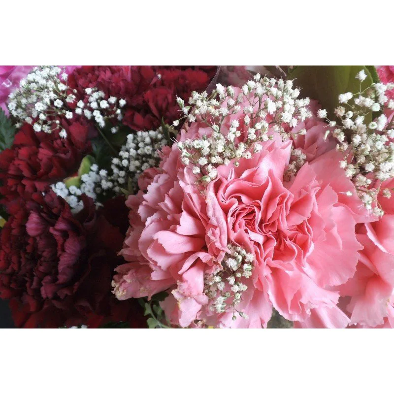 flower-rose-pink-blossom-bloom-bouquet-love