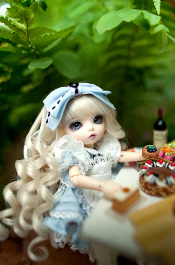 luna doll