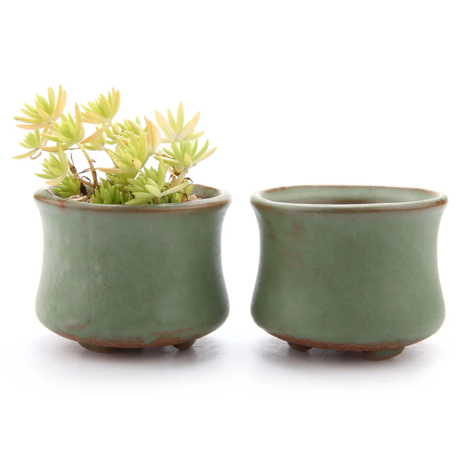 

T4U 2.5"Spring Serial NO.3 Slim Shape Sucuulent Cactus Plant Pots Flower Planters Containers Window Boxes Green 1 pack of 2