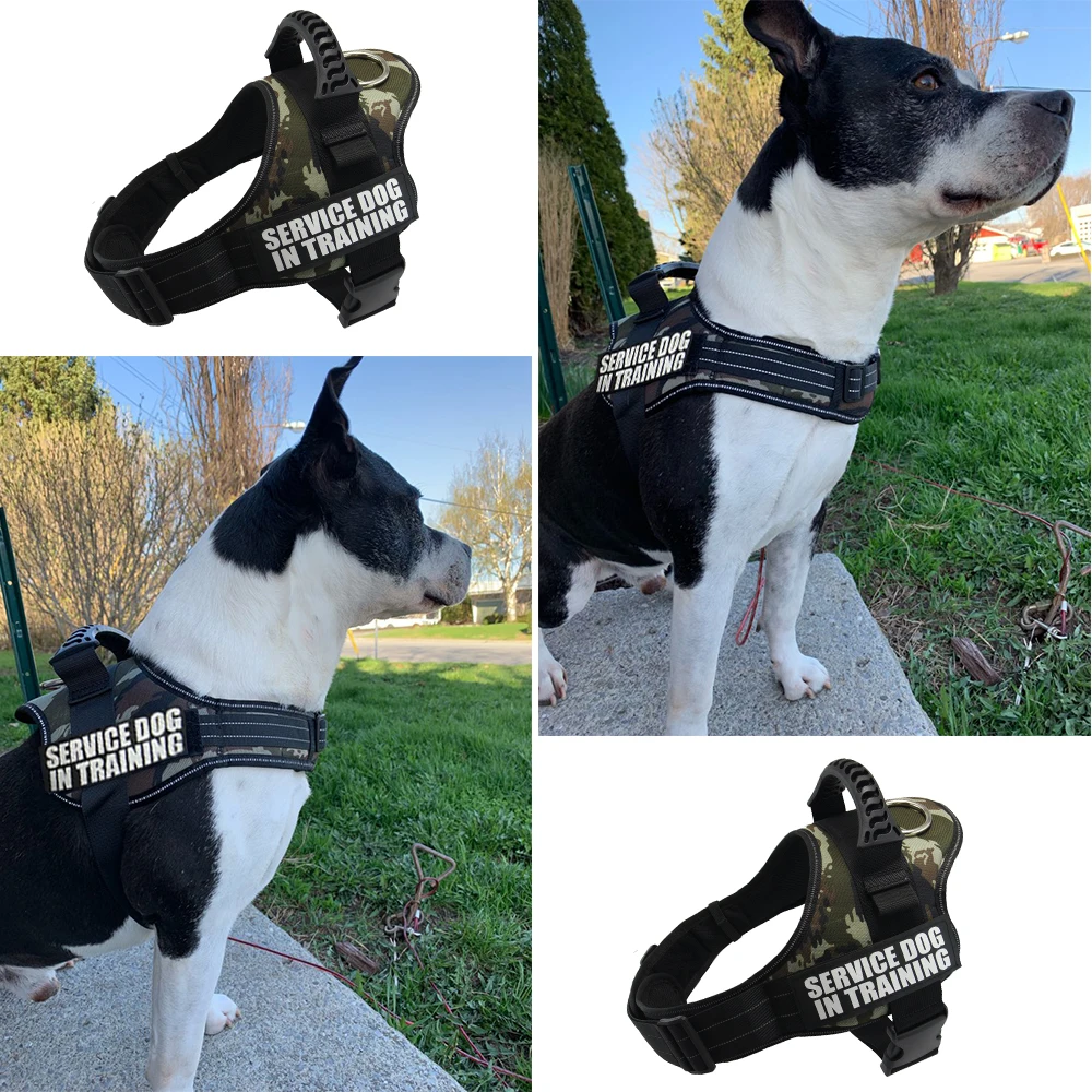dog harness name