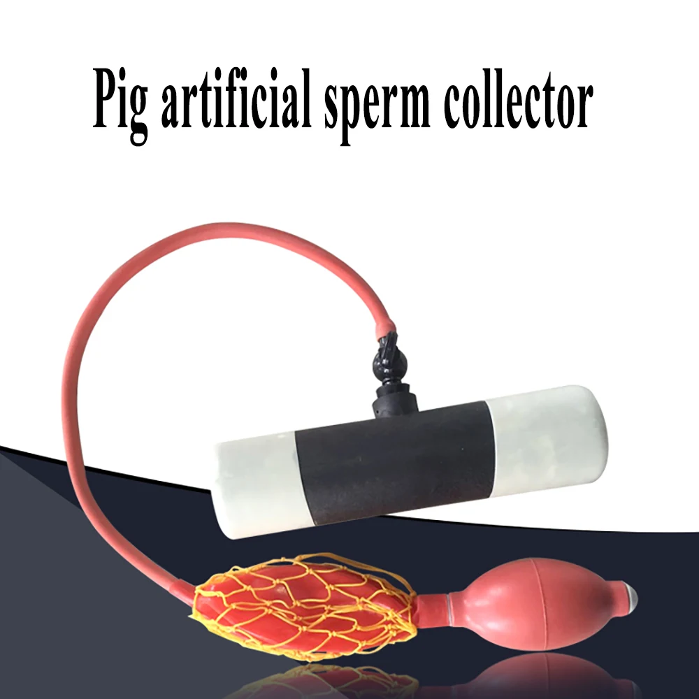 Pig artificial insemination device boar semen collection kit device