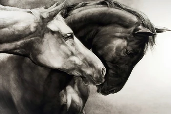 

modern decorative art poster cartoon picture abstract canvas painting black and white giant prints home decor bow horse portrait