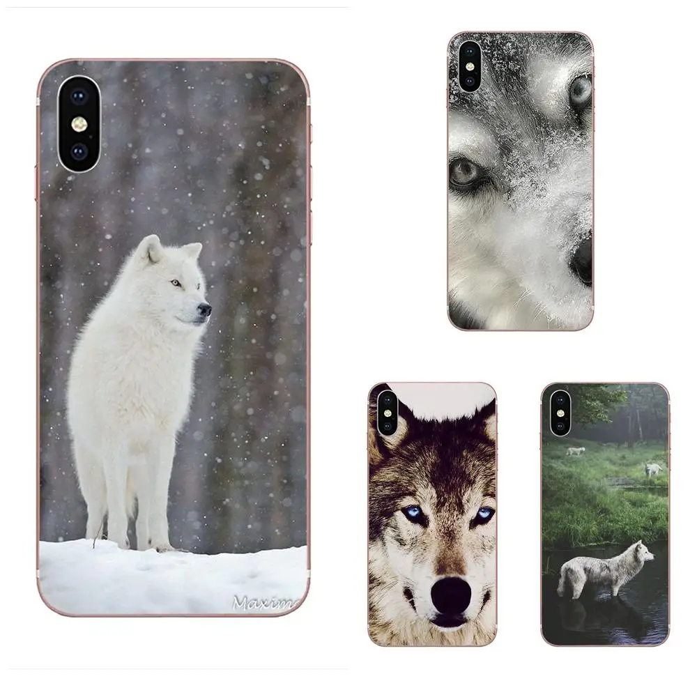 Щенок Хаски Crystal Clear гибкие для Apple IPhone X XS Max XR 4 4S 5 5C 5S SE 6 6S 7 8 Plus с узором мягкий