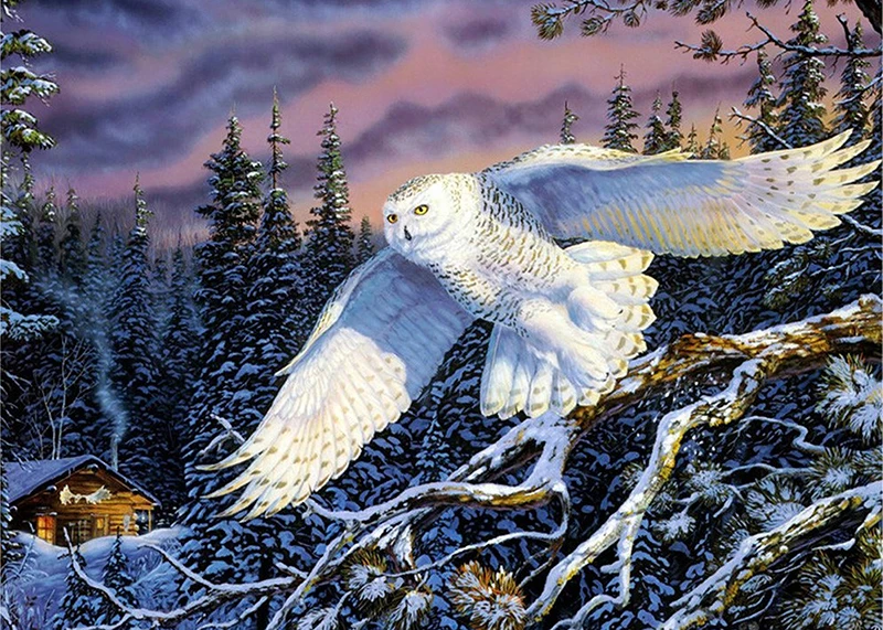 102597503262260 4030