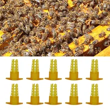 10 шт. пчелиная матка Защитная клетка Защитная крышка протектор для пчелиный улей пчеловодства оборудование для пчеловодов инструмент