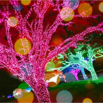 

Waterproof 10M 100-LED 4W LED String Light (AC 220V/EU Plug)