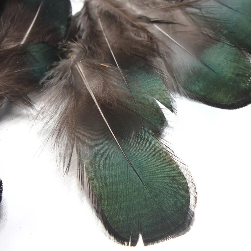 50pcs Green Natural Pheasant Tail Feathers 2.5 x 7cm For Clothing Decorations DIY Crafts