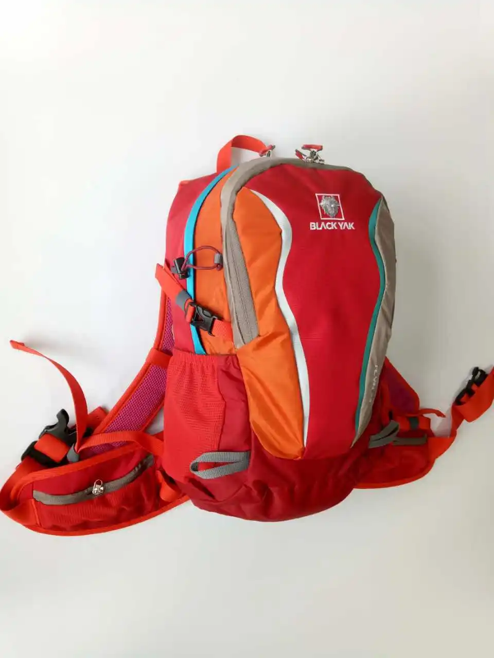 3999920139_146771750