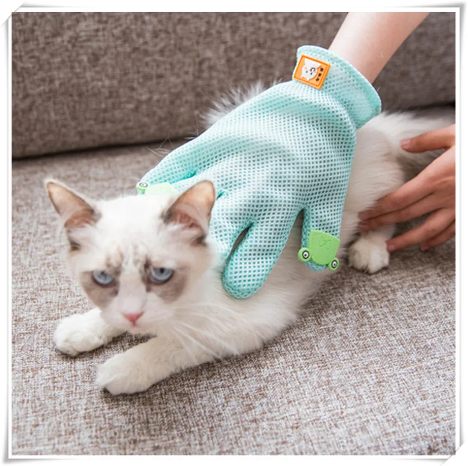 Pet Glove XQ2