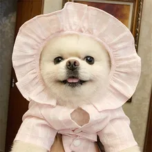 Летние Рубашка с рисунком «Собаки» с капюшоном костюм для собак, одежда для защиты от солнца одежда для собак кошек Чихуахуа Йоркширский Пудель для бишона и шнауцера ПЭТ Костюмы