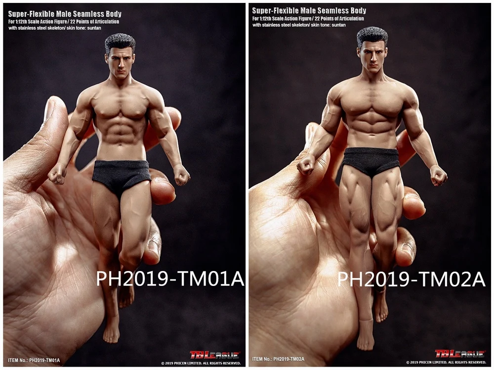 

TBLeague Phicen TM01A & TM02A 1/12th Scale Super Flexible Male Seamless Body