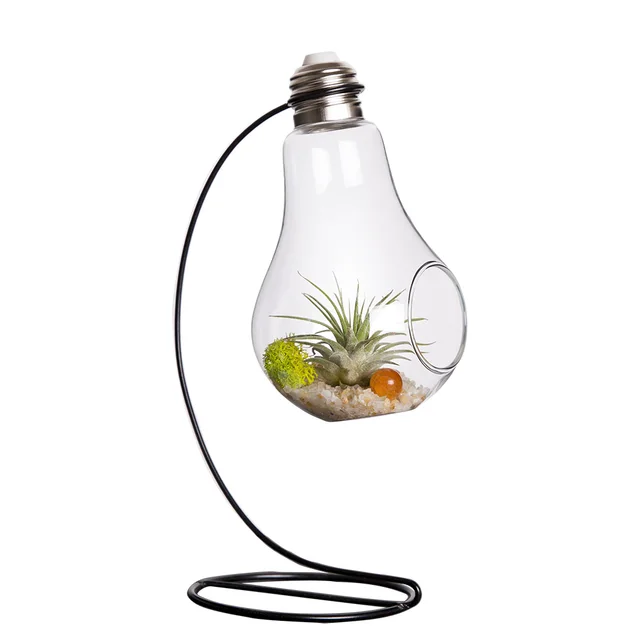Mkono Air Plant Terrarium Airplants Gl Vase Succulent Hanging Mkono Air Plant Terrarium Airplants Gl Vase Succulent Hanging Container Table Plants Planter With Metal Stand