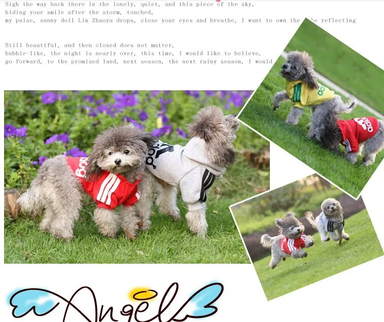 Новая модная одежда для собак, милый костюм для собак для йоркширских терьеров и чихуа-Хуа, куртка для маленьких щенков