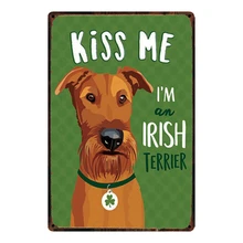 irish terrier