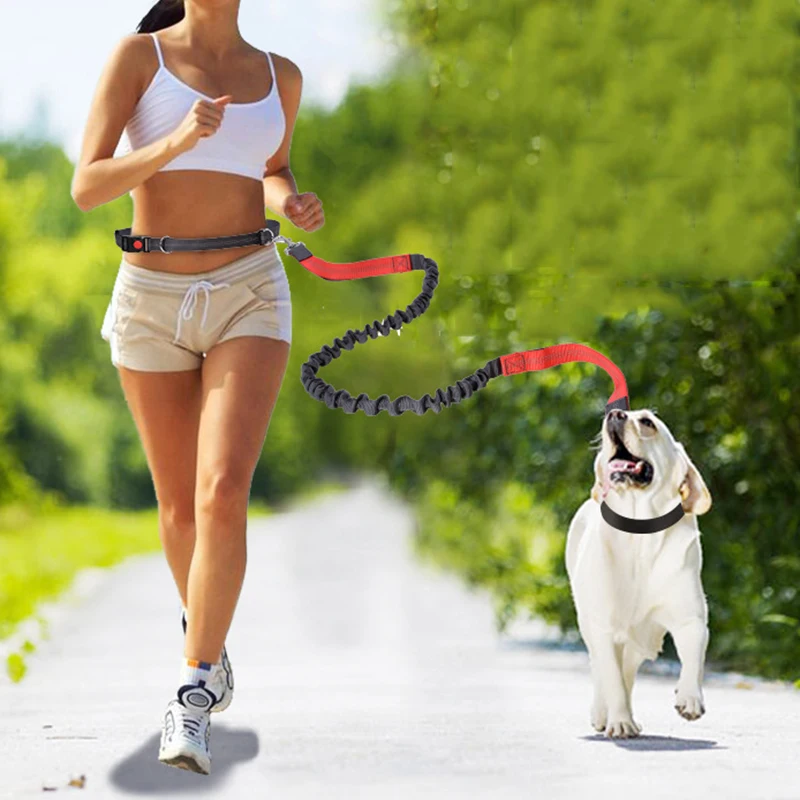 Running pet. Флис поводок.